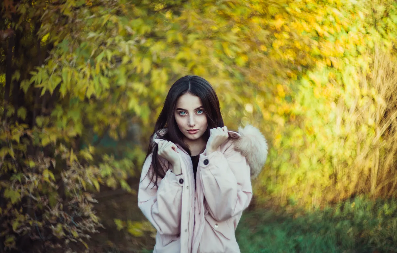 Фото обои взгляд, девушка, брюнетка, боке, Ilya Arte