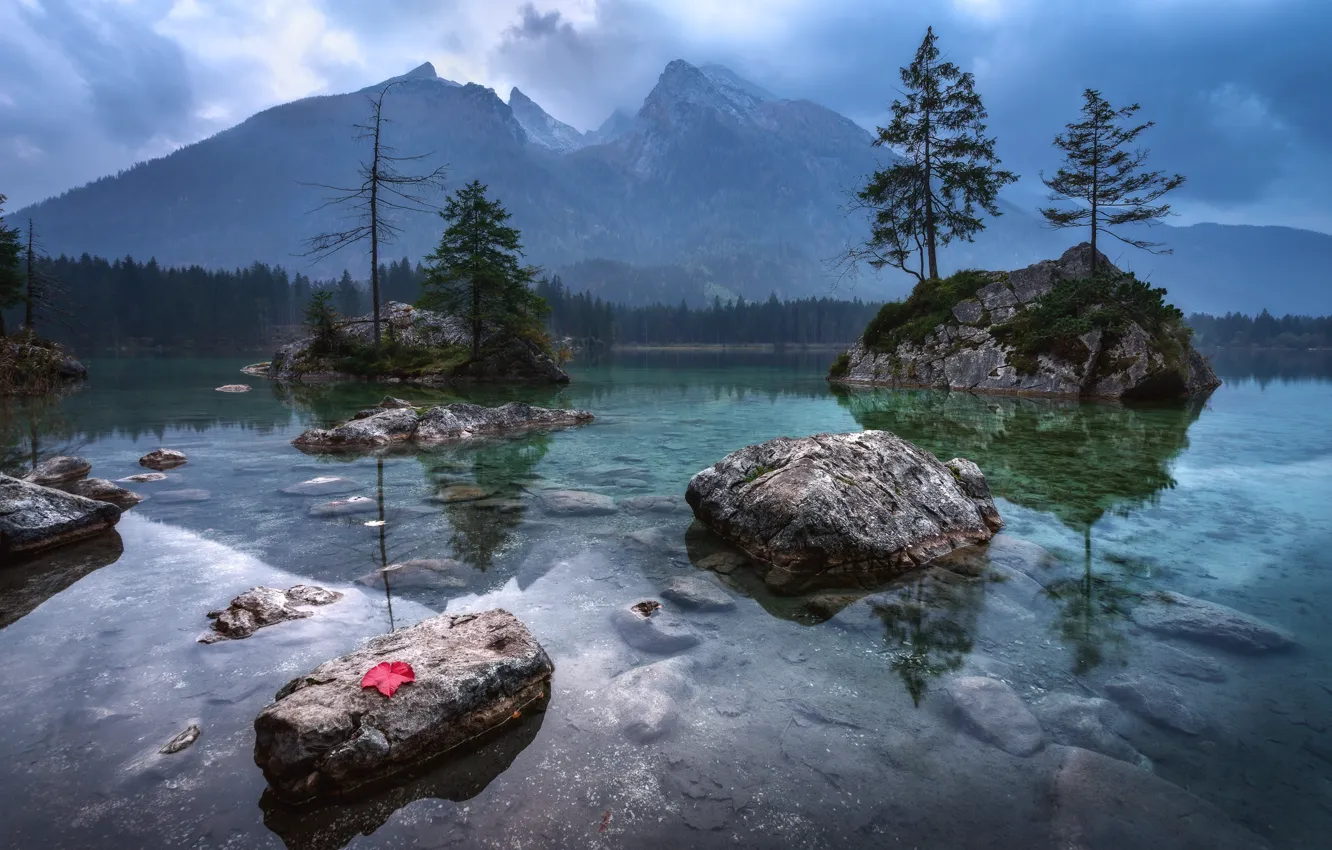 Фото обои лес, листья, вода, деревья, горы, озеро, отражение, камни