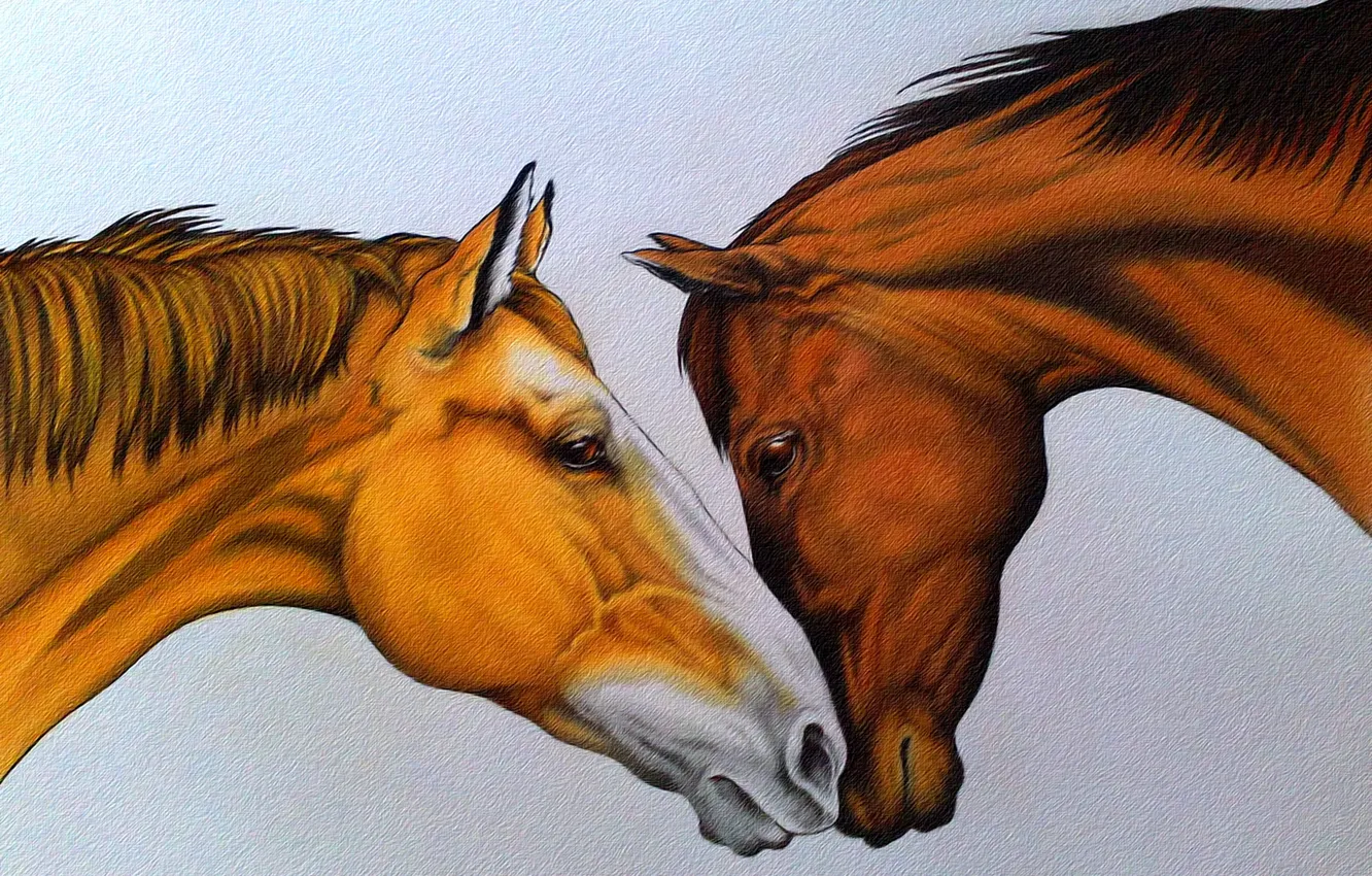 Фото обои нежность, рисунок, кони, пара, живопись, рыжая и гнедой