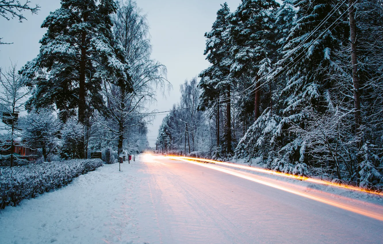 Фото обои зима, дорога, снег, деревья, природа, елки, выдержка