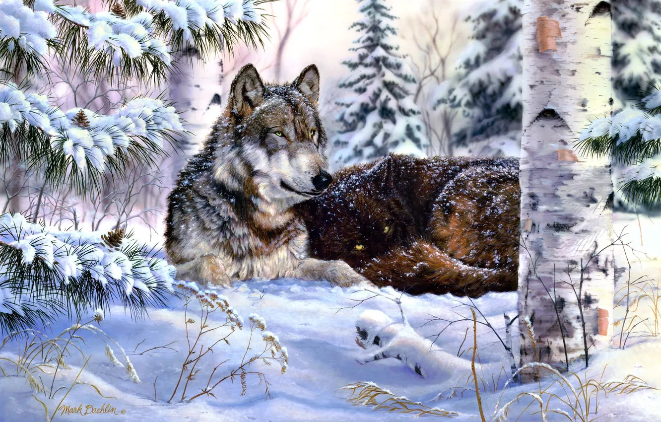 Фото обои зима, лес, снег, ель, волки, живопись, шишки, сосна