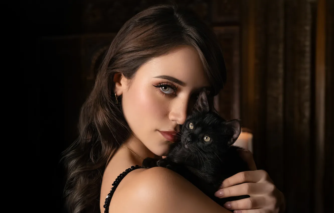 Фото обои кошка, взгляд, девушка, лицо, фото, волосы, Caylee Cowan