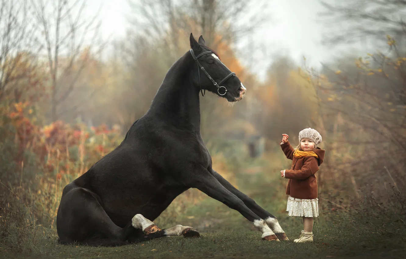 Фото обои лошадь, девочка, малышка, дрессура