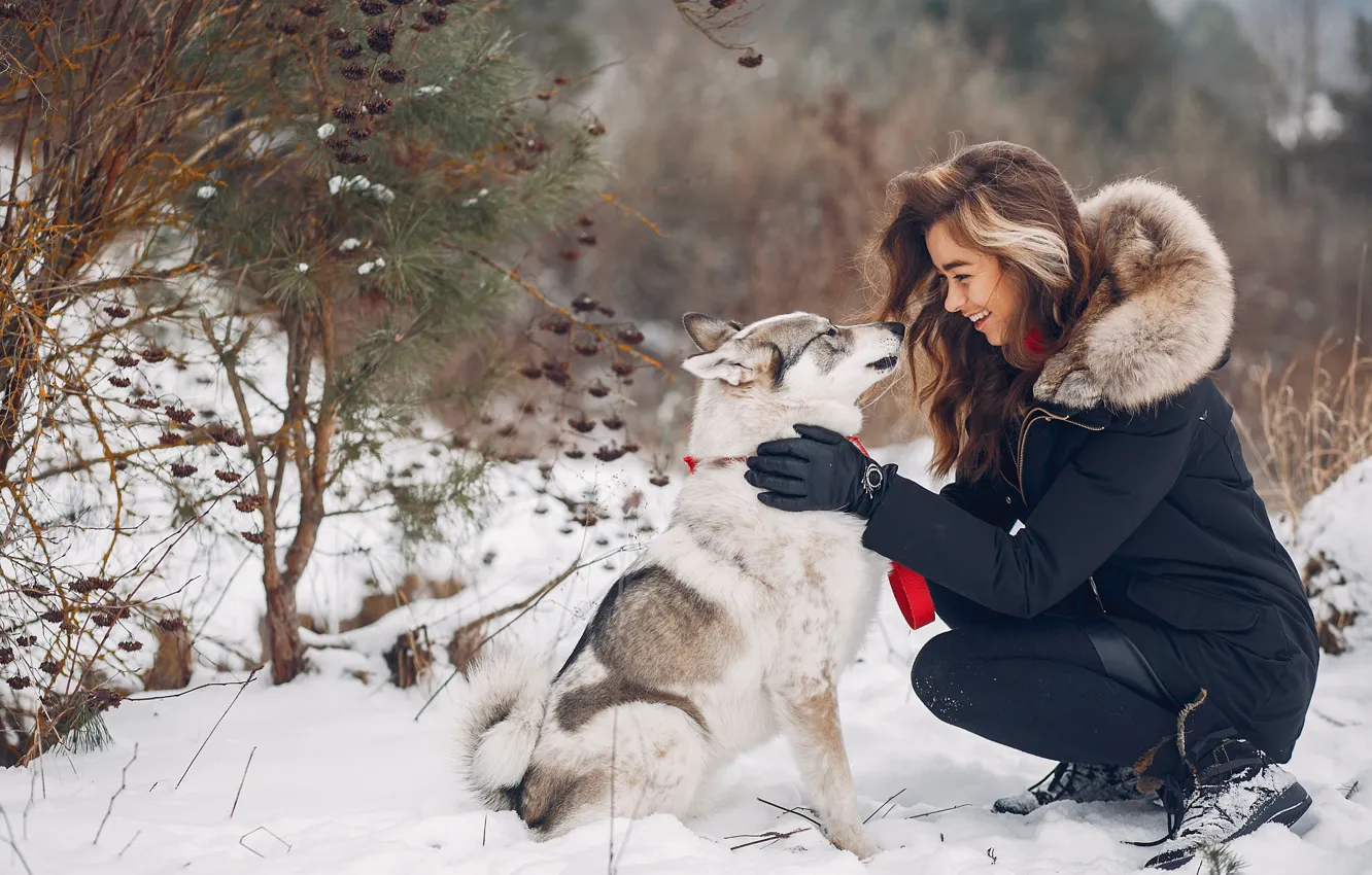 Фото обои зима, девушка, собака, питомец