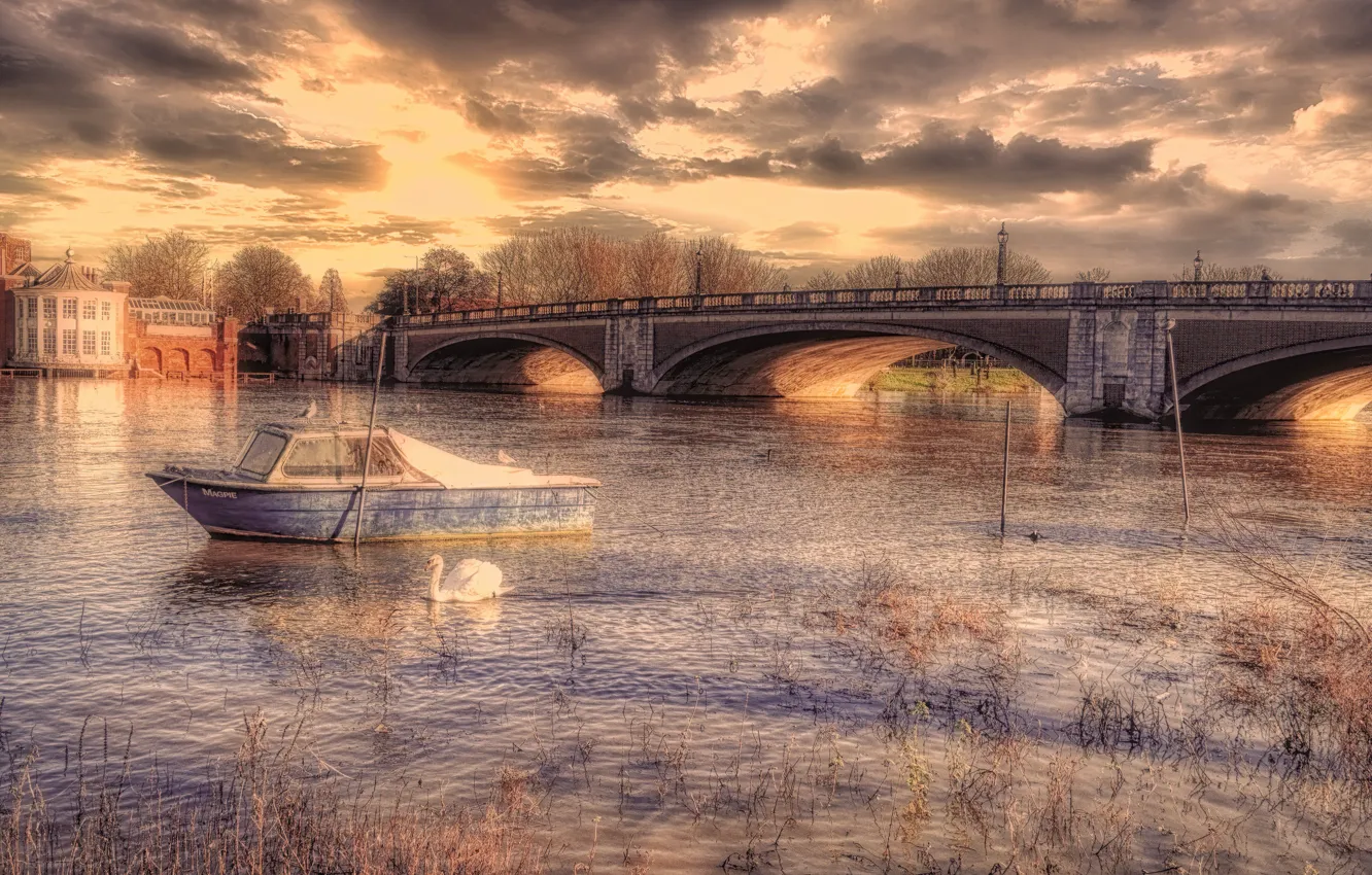 Фото обои мост, река, лебедь