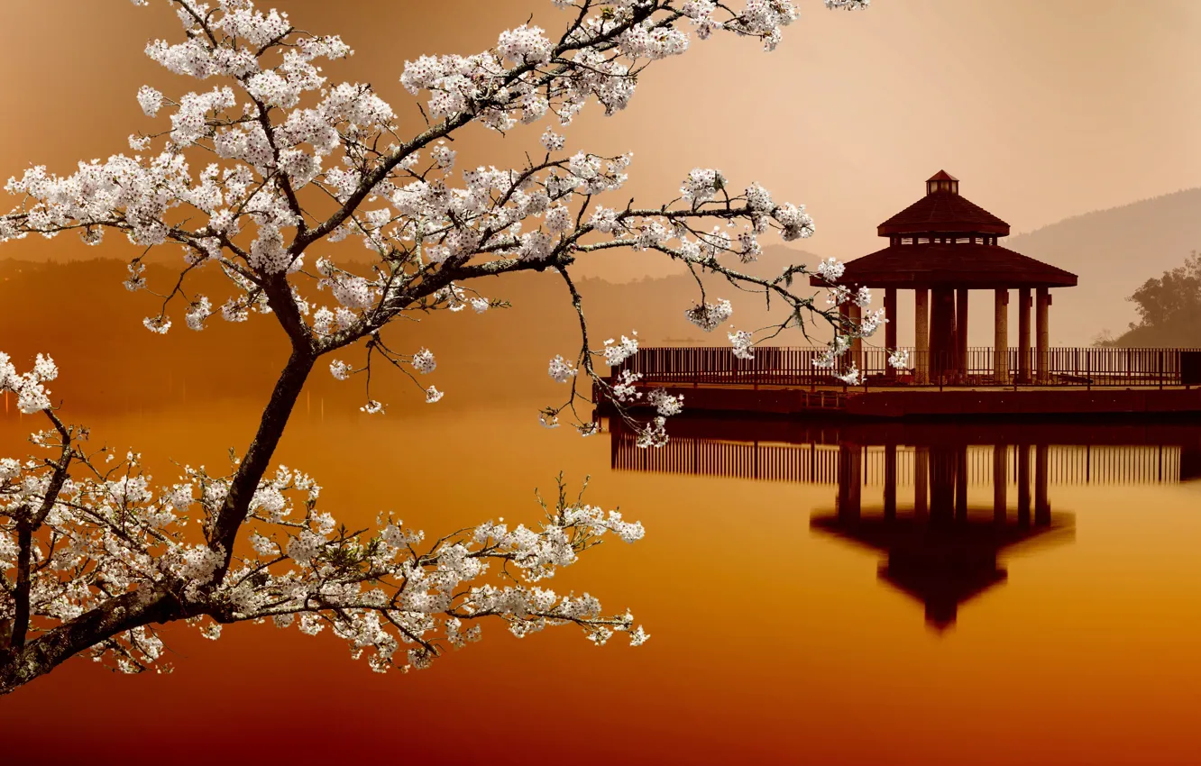 Фото обои Сакура, Sakura, Восточные пейзажи, дома на воде, house on the water, Eastern landscapes