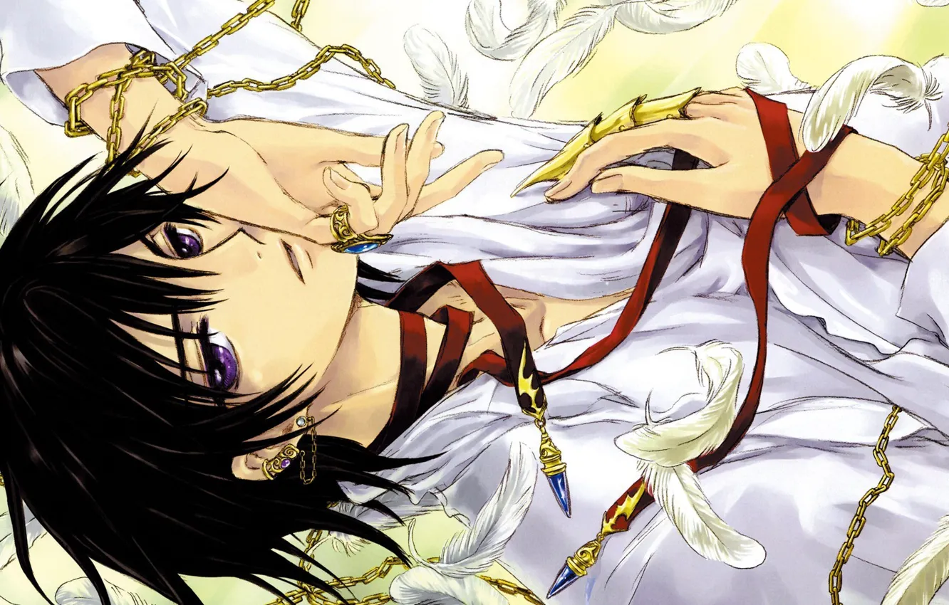 Фото обои аниме, арт, lelouch clamp, парень цепи