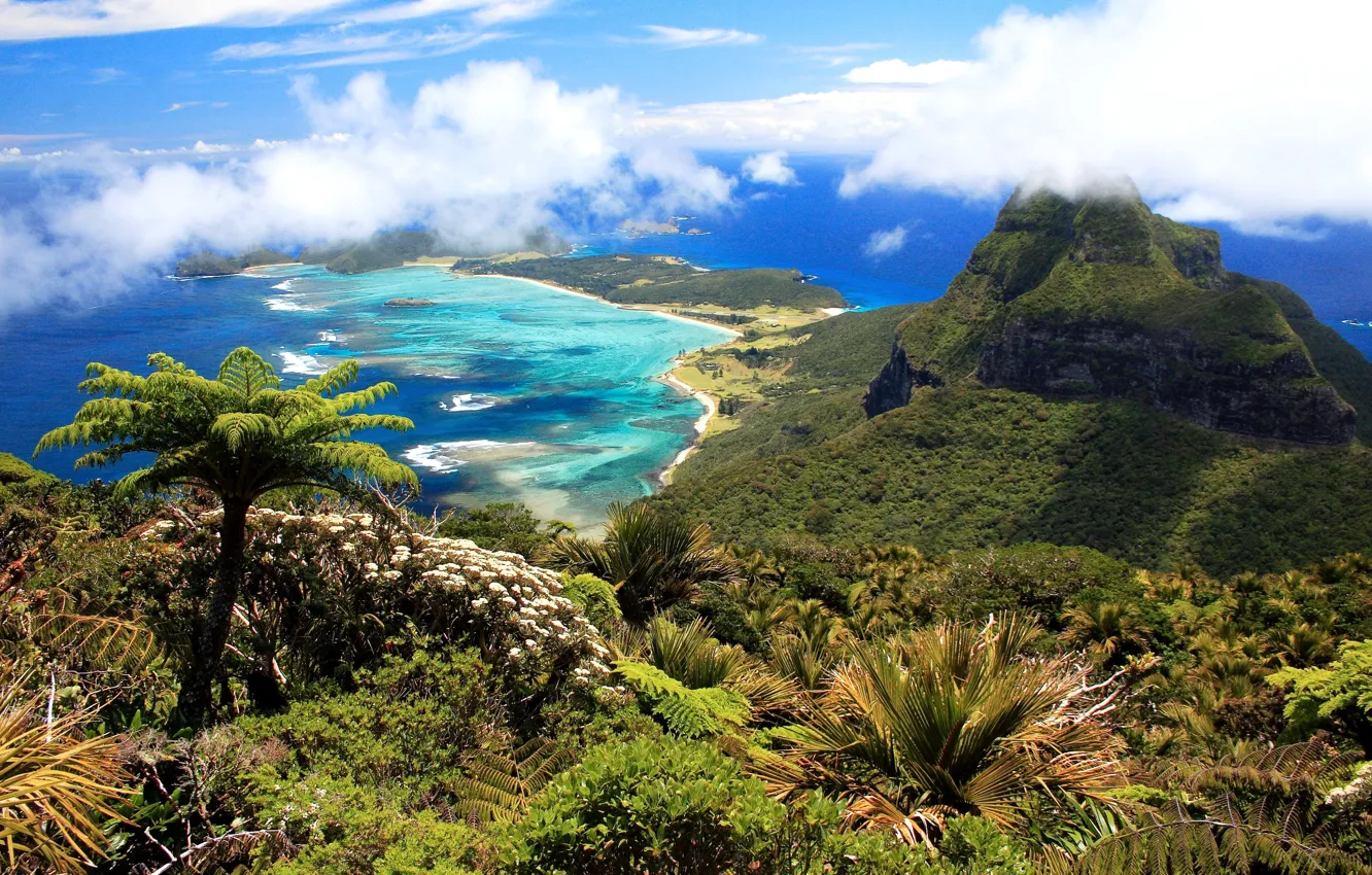 Фото обои облака, горы, пальмы, океан, побережье, остров, Австралия, панорама