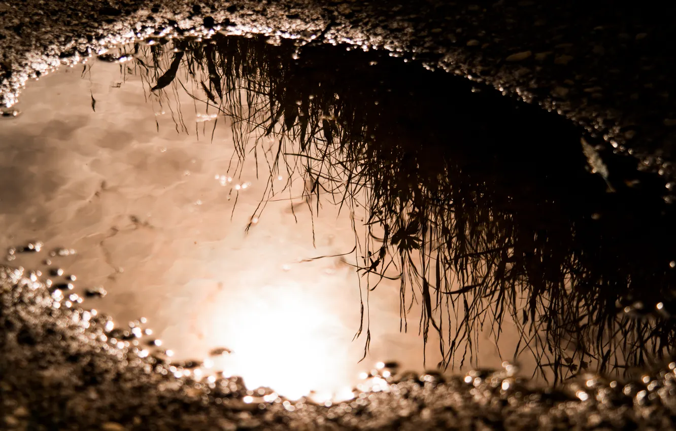 Фото обои Dirt, Sun, Water, Mirror, Reflection, Ground, Mud, Puddle