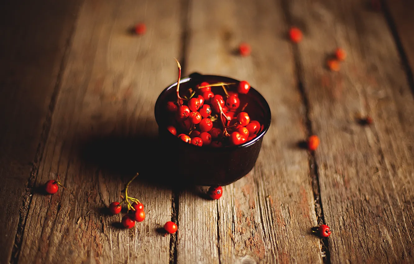 Фото обои ягоды, доски, рябина, rowanberry