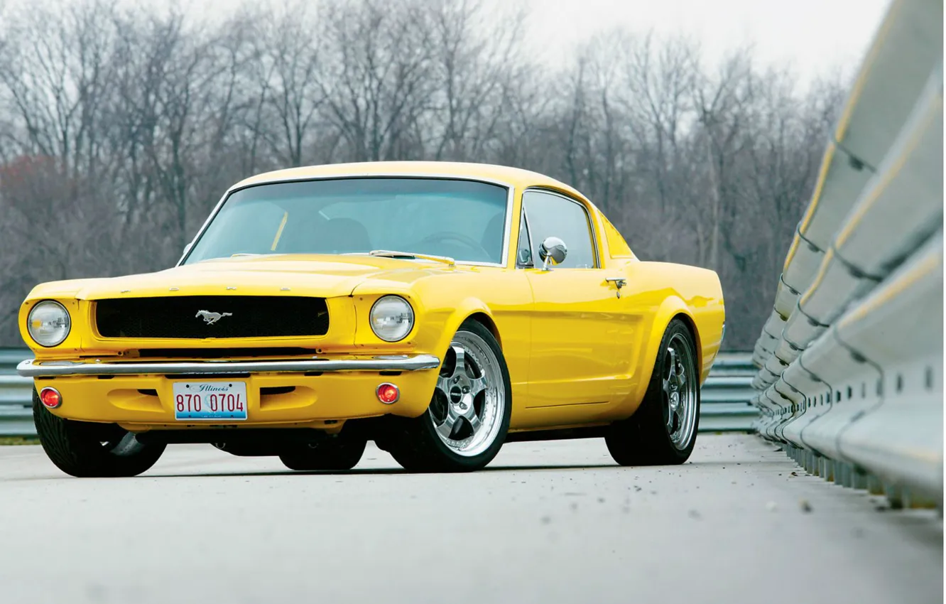 Фото обои обои, Mustang, Ford, Muscle, Car, 1965, wallpapers