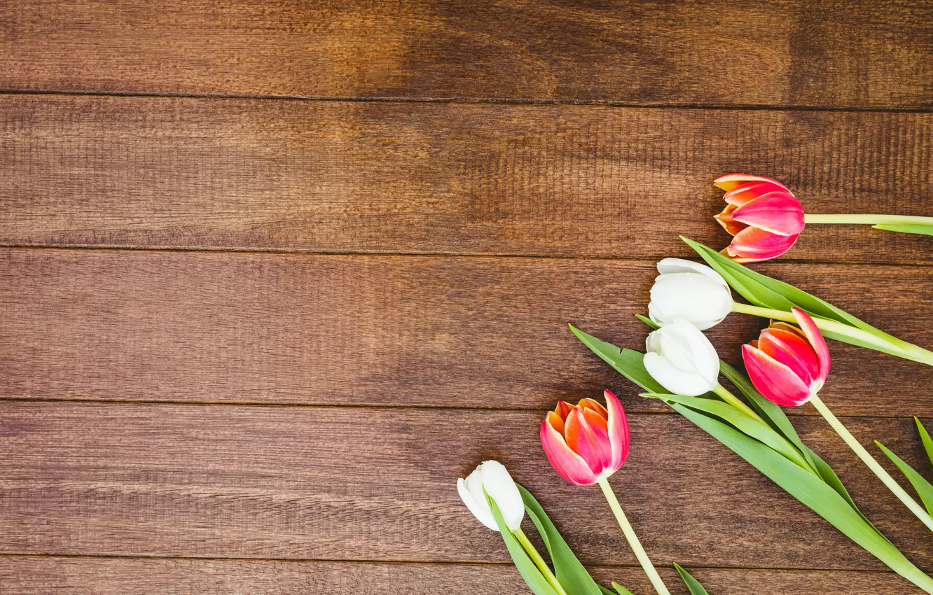 Фото обои цветы, букет, colorful, тюльпаны, red, white, wood, flowers