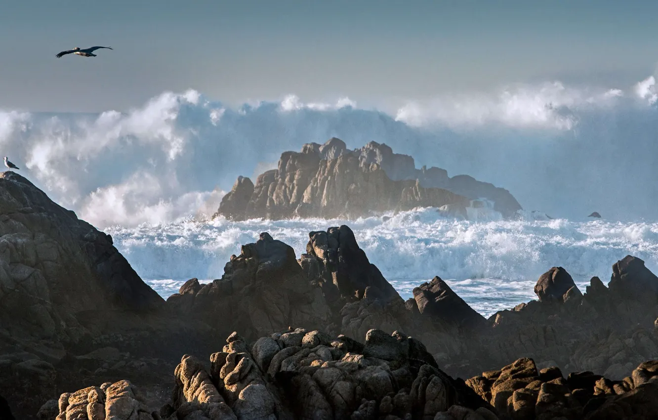 Фото обои шторм, скалы, Калифорния, США
