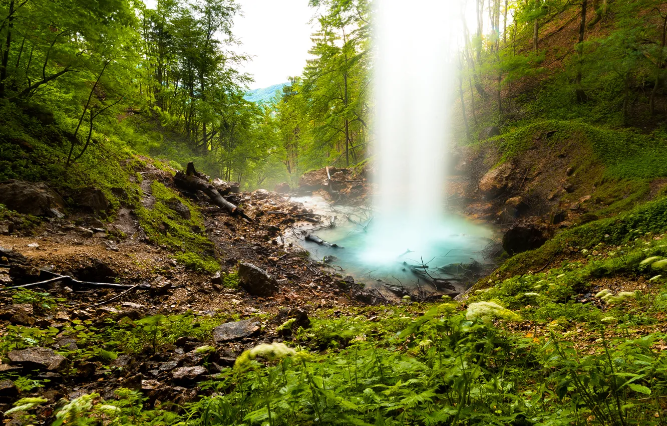 Фото обои лес, небо, деревья, горы, брызги, камни, водопад
