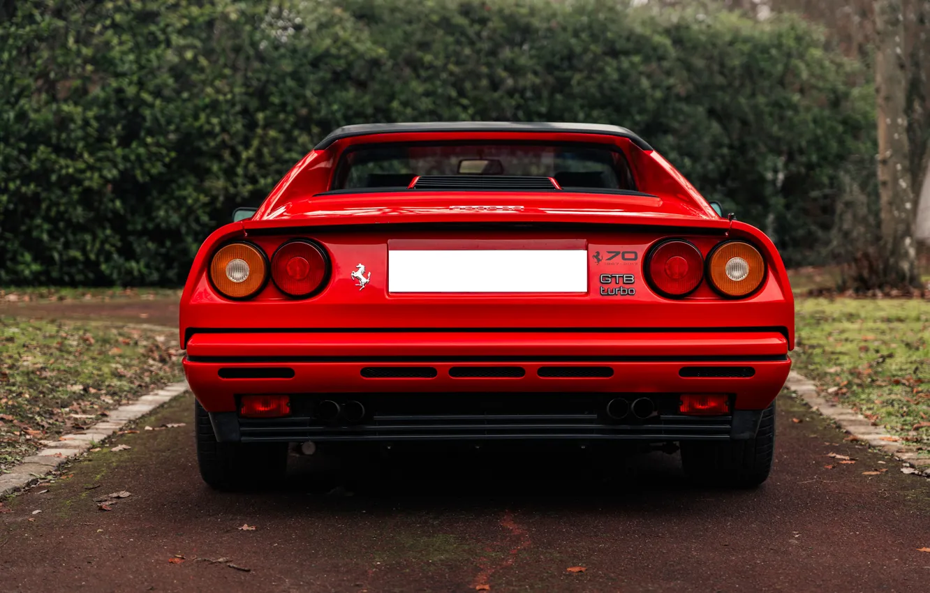 Фото обои Ferrari, GTB, rear, 1989, Ferrari GTB Turbo