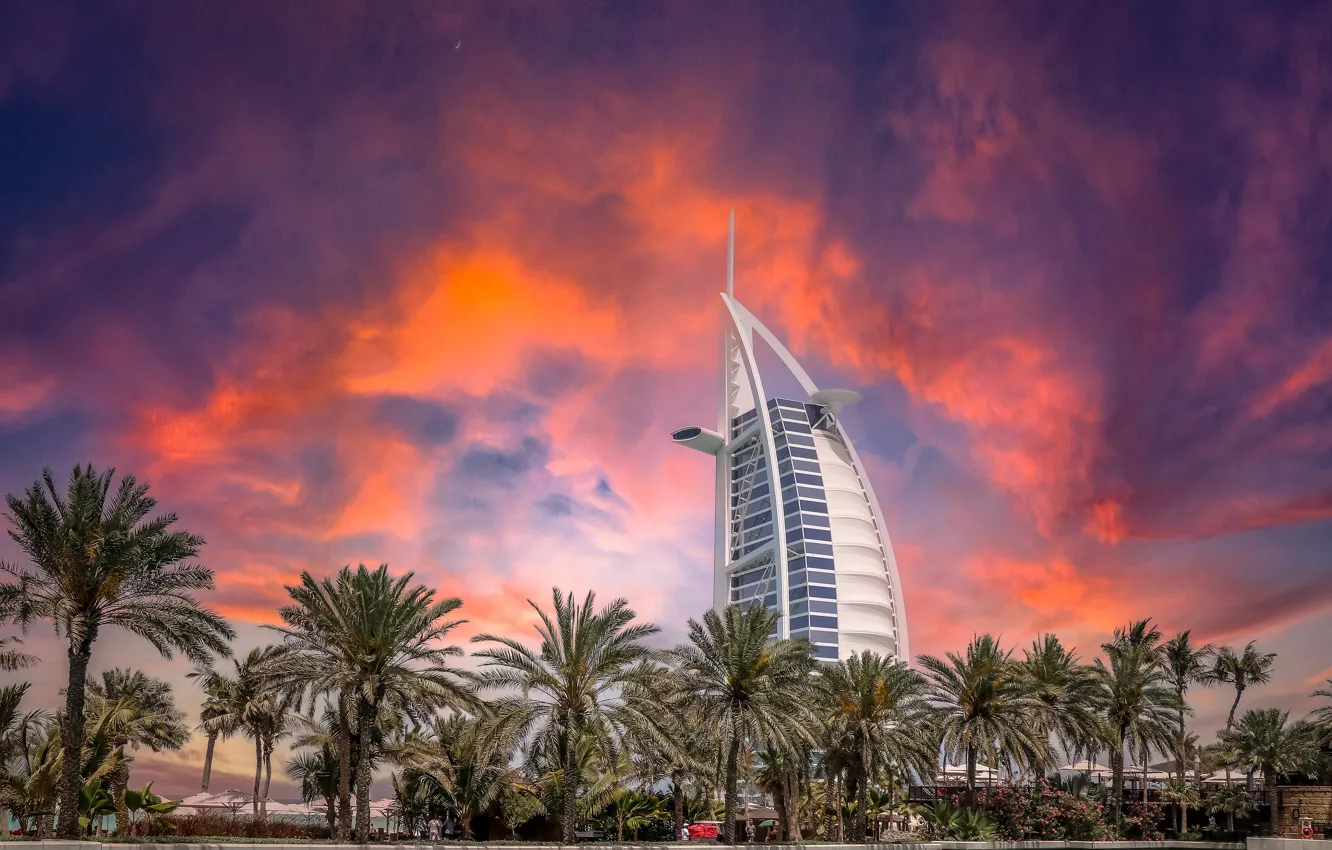 Фото обои небо, закат, пальмы, небоскреб, Дубай, архитектура, ОАЭ