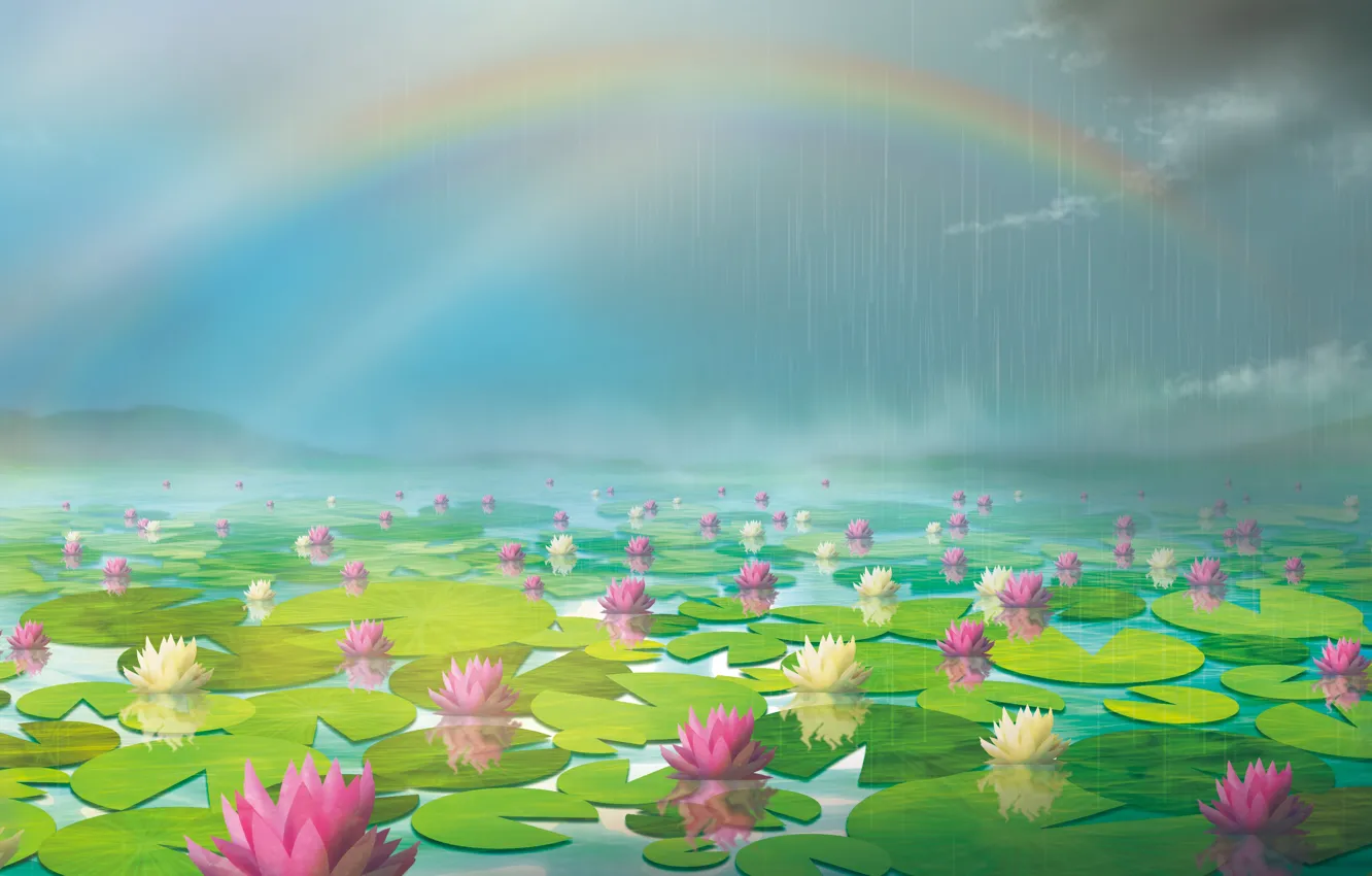Фото обои пруд, дождь, радуга, кувшинки