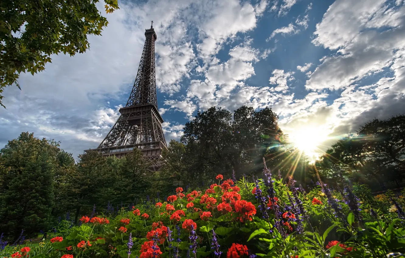 Фото обои солнце, деревья, цветы, Париж, Эйфелева башня