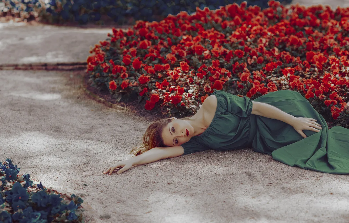 Фото обои девушка, цветы, лицо, платье, лежит, клумбы
