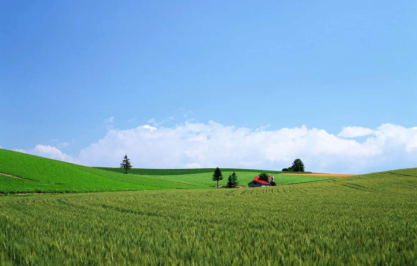 Фото обои nature, town, farm