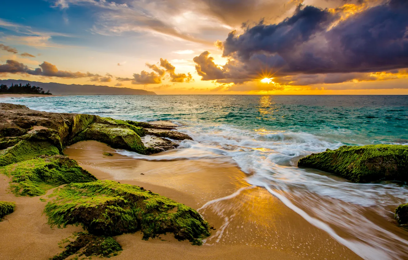 Фото обои песок, море, небо, солнце, облака, водоросли, тропики, камни