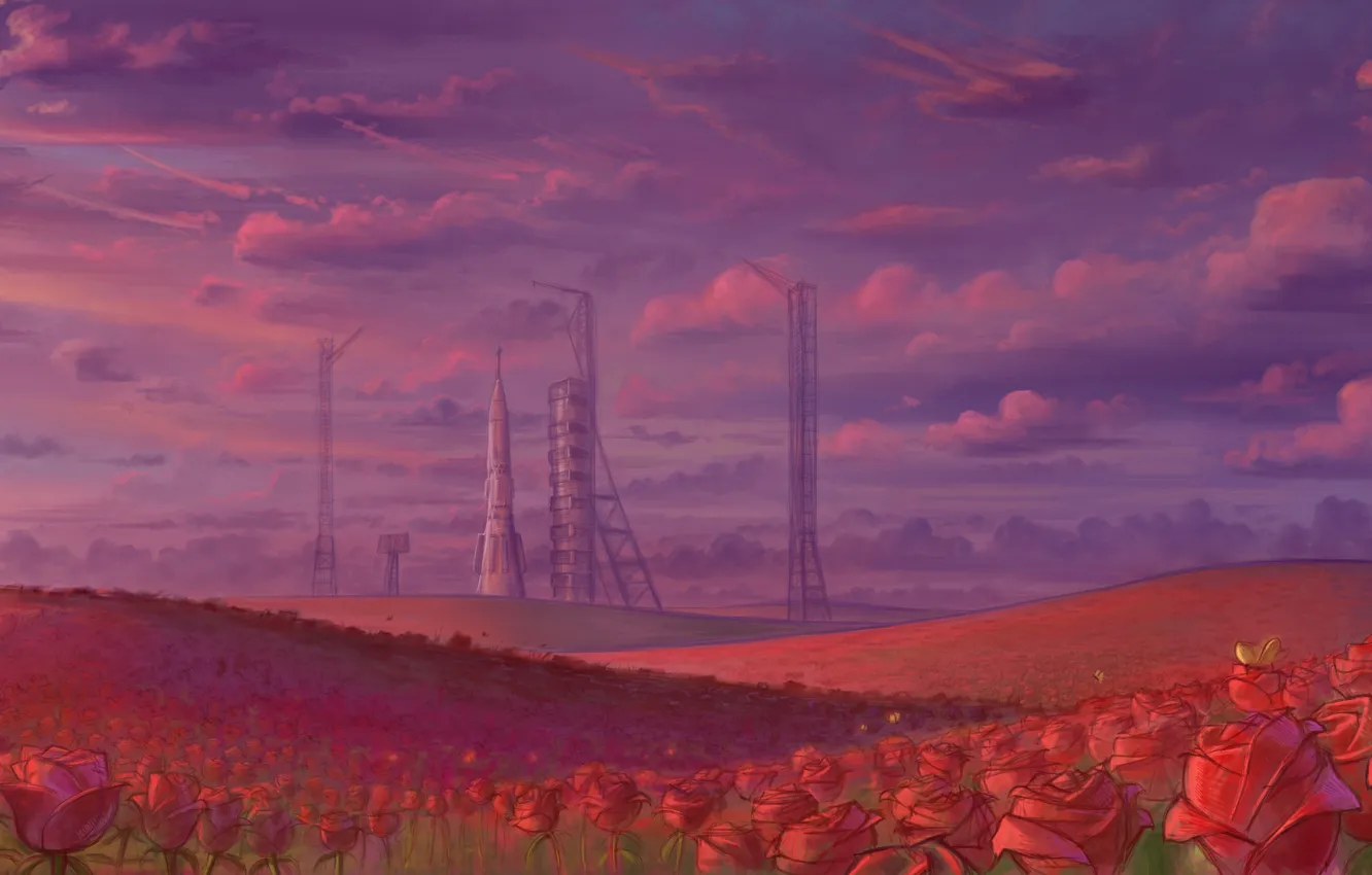 Фото обои поле, небо, розы, ракета, космодром