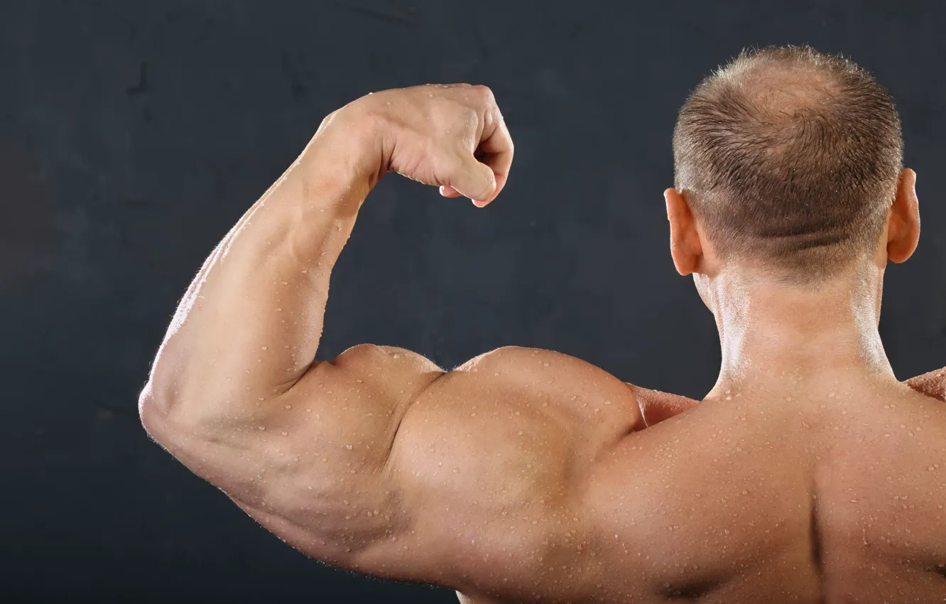 Фото обои muscles, men, arms