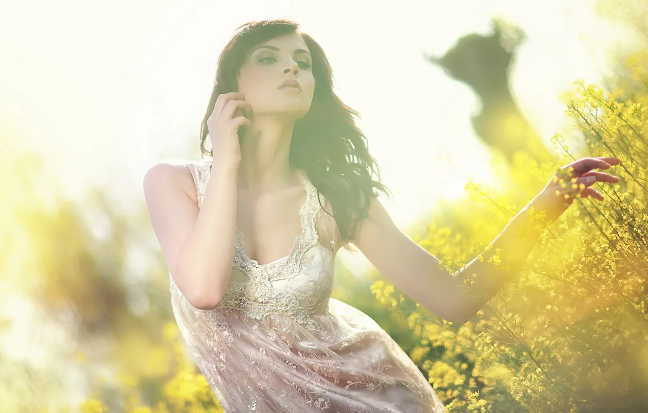 Фото обои поле, девушка, свет