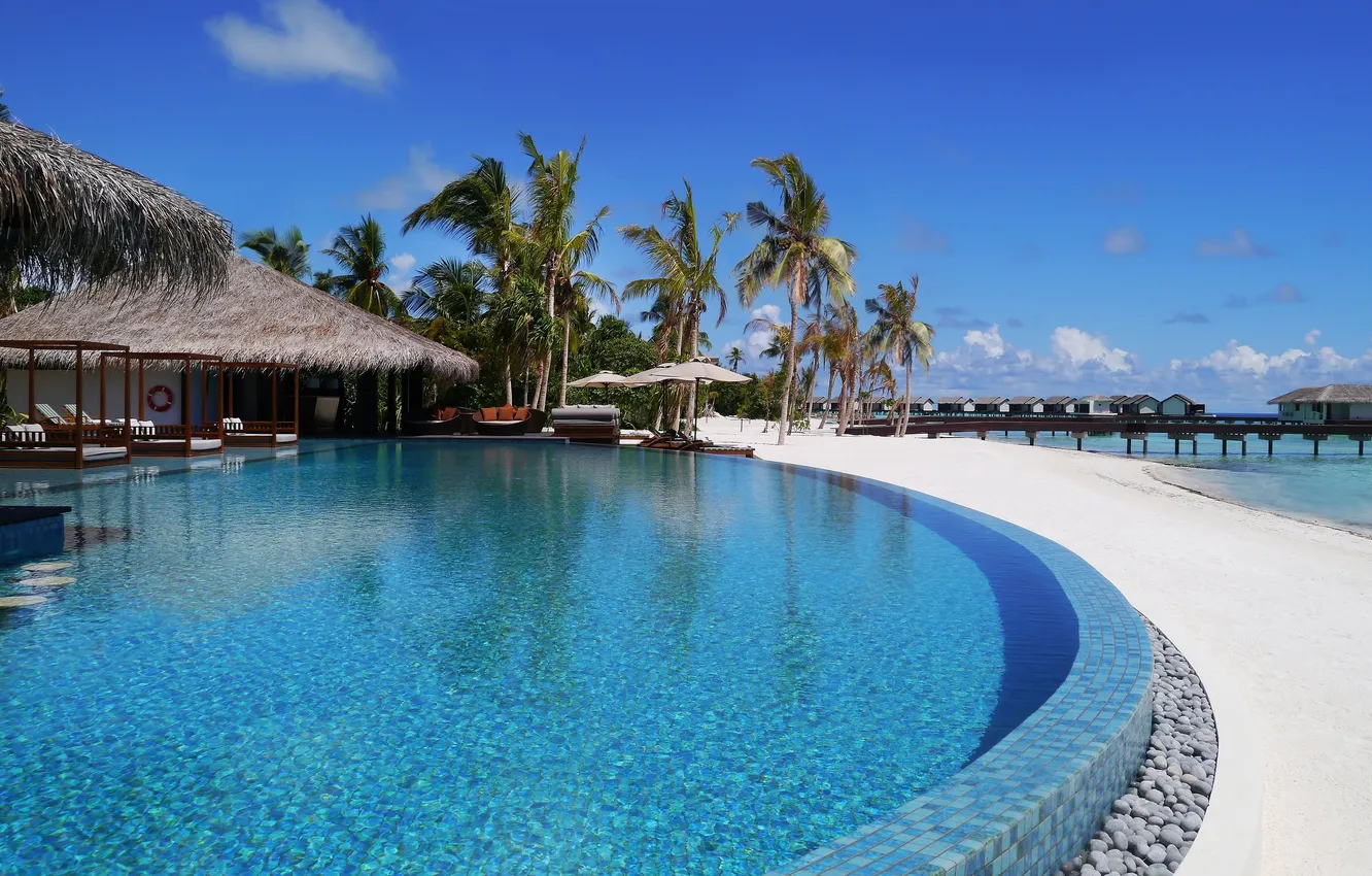 Фото обои пальмы, океан, бассейн, причал, отель, экзотика