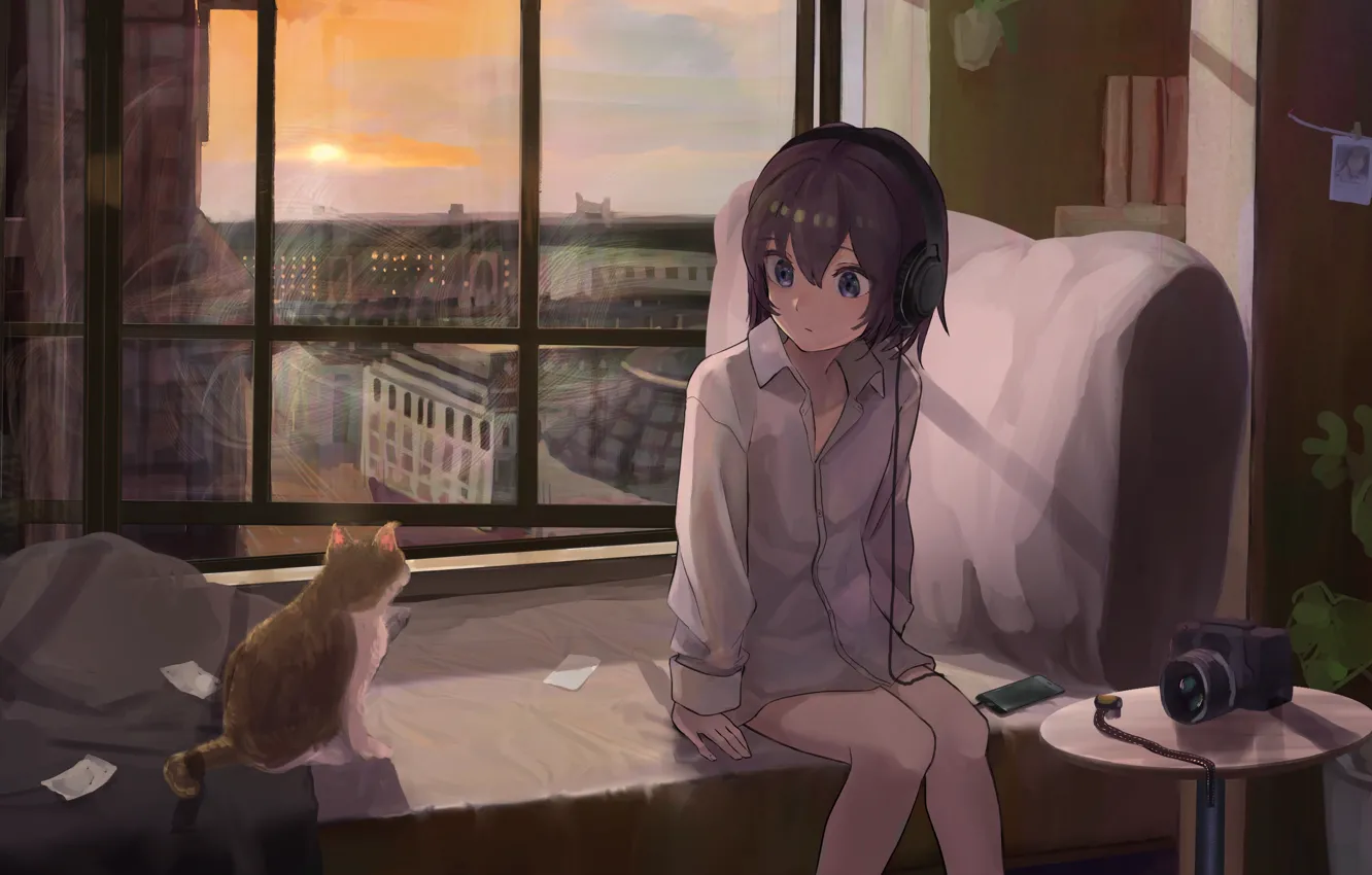 Фото обои кошка, девушка, закат, город, наушники, вид из окна