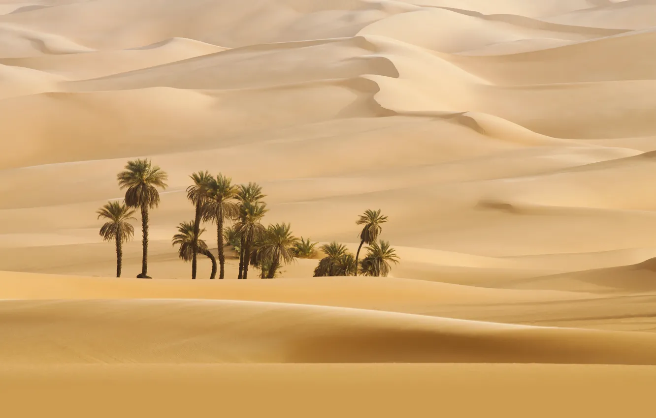 Фото обои Nature, Wallpaper, Sands, Dune, Desert