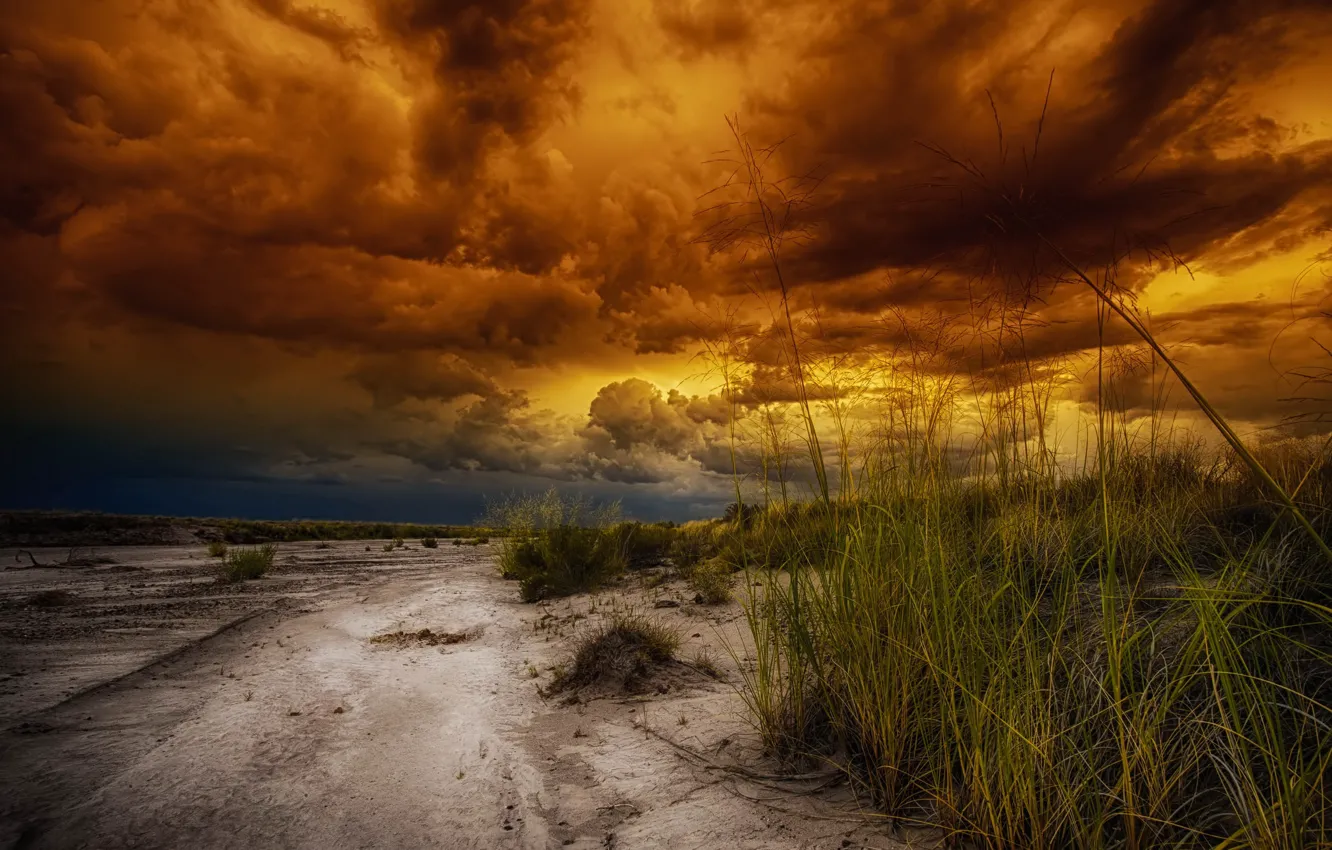 Фото обои закат, природа, Arizona, Petrified Forrest