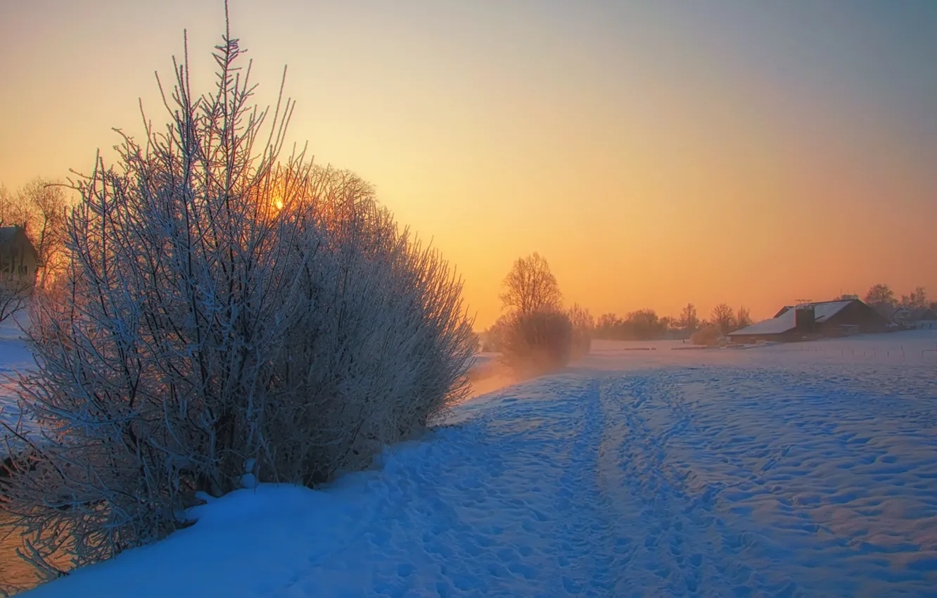 Фото обои river, trees, winter, snow, morning, fog, houses, sunrise