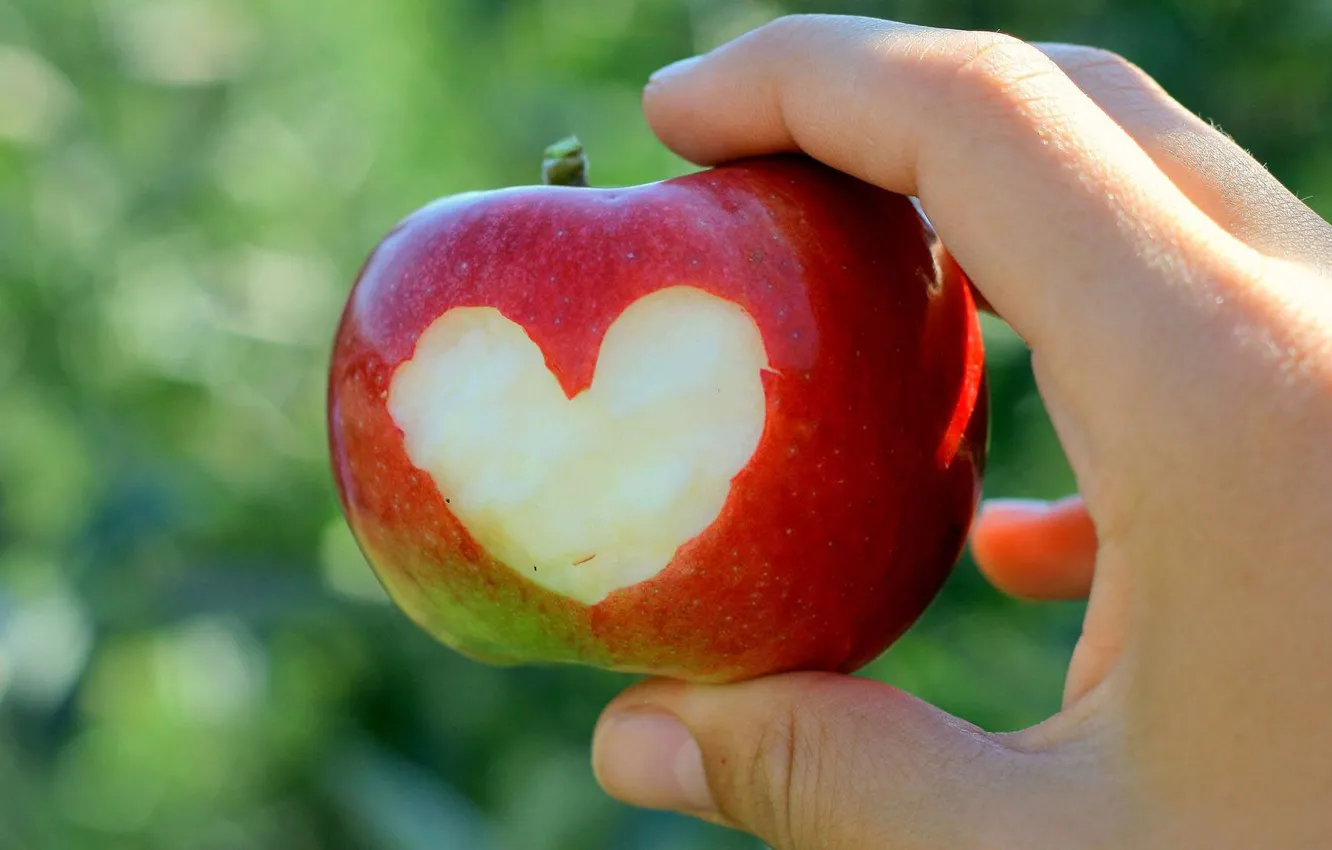 Фото обои сердце, яблоко, рука
