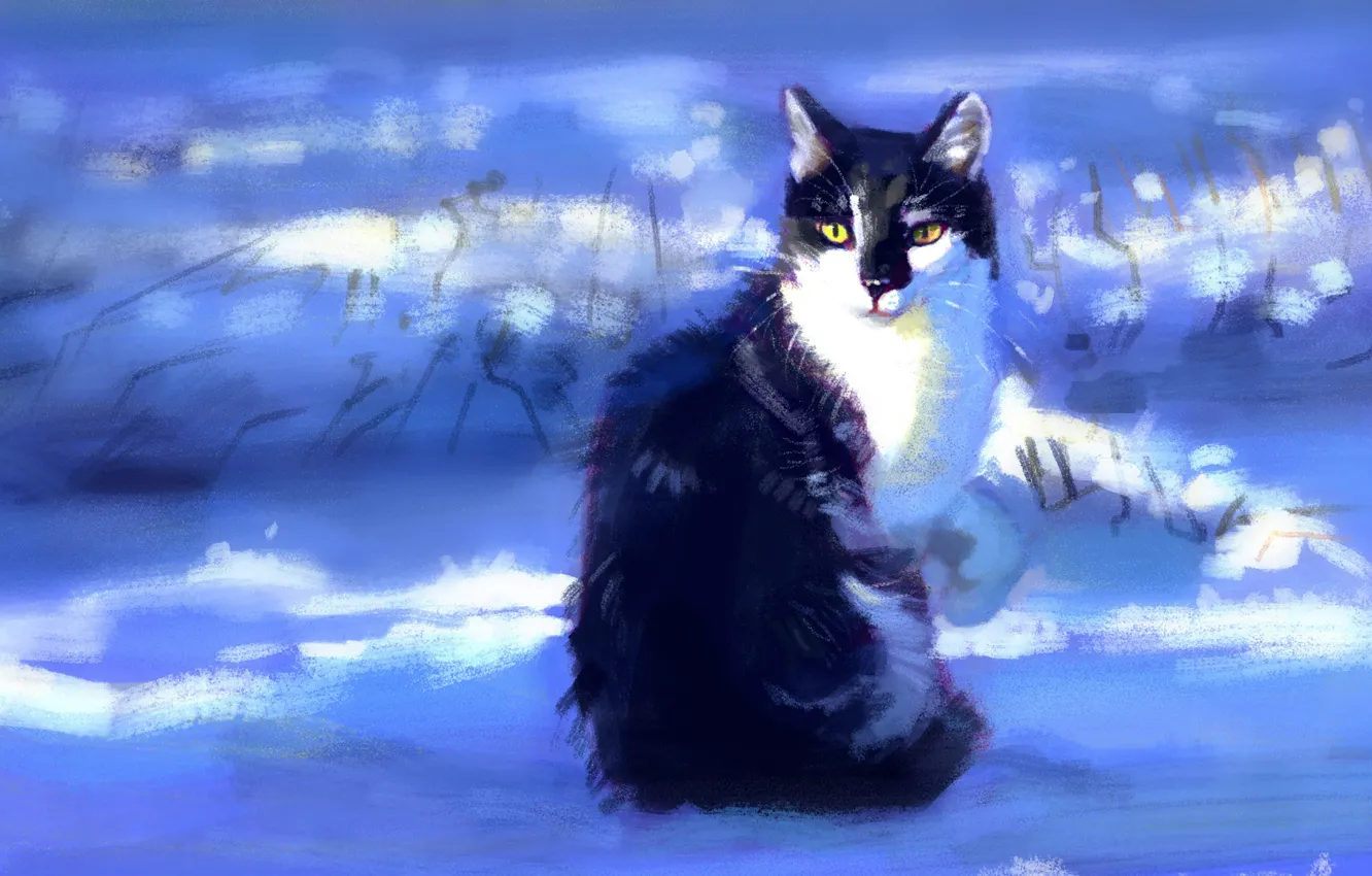Фото обои зима, кошка, снег, сидит, by Meorow