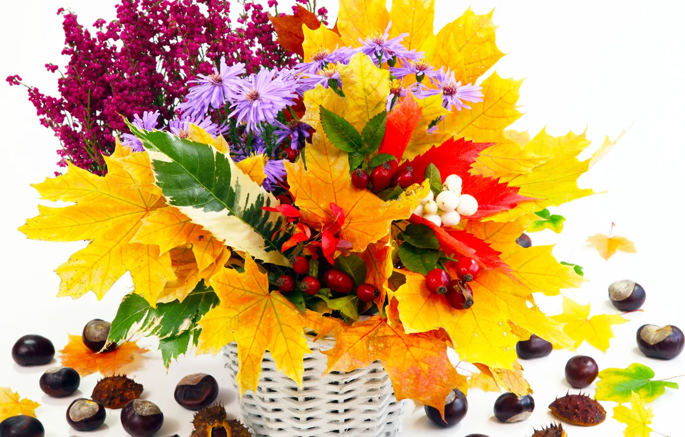 Фото обои осень, листья, цветы, натюрморт, каштаны