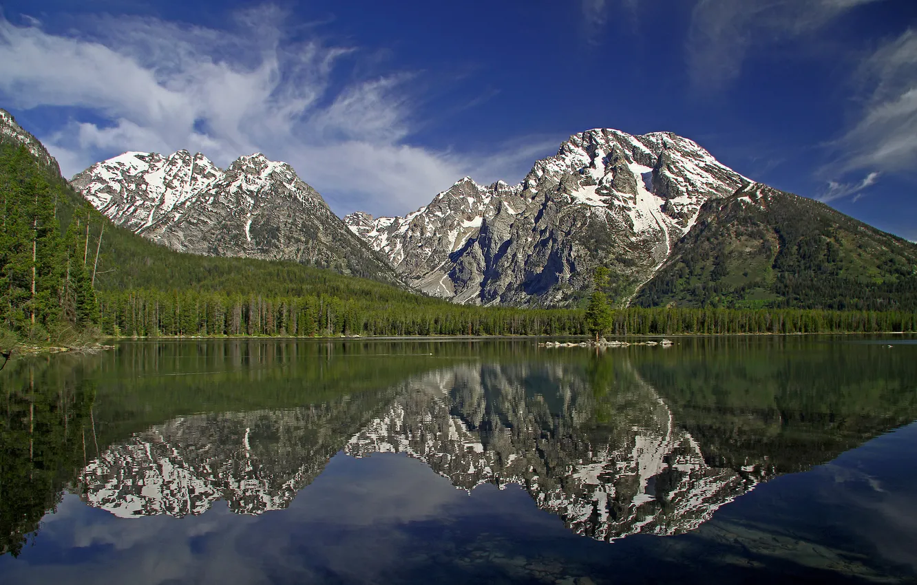 Фото обои лес, горы, озеро, отражение, Вайоминг, Wyoming, Гранд-Титон, Grand Teton National Park