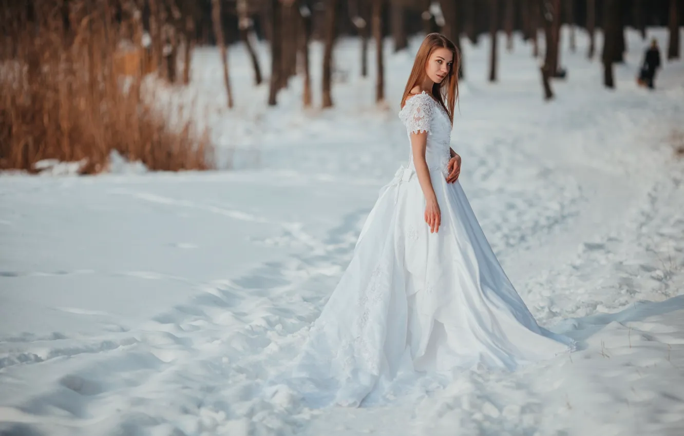 Фото обои зима, взгляд, девушка, снег, лицо, милая, модель, портрет