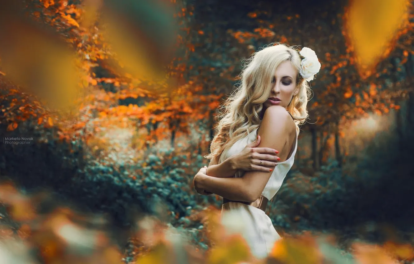 Фото обои flower, dress, nature, woman, fairy, fall, Kristyna, Atumn