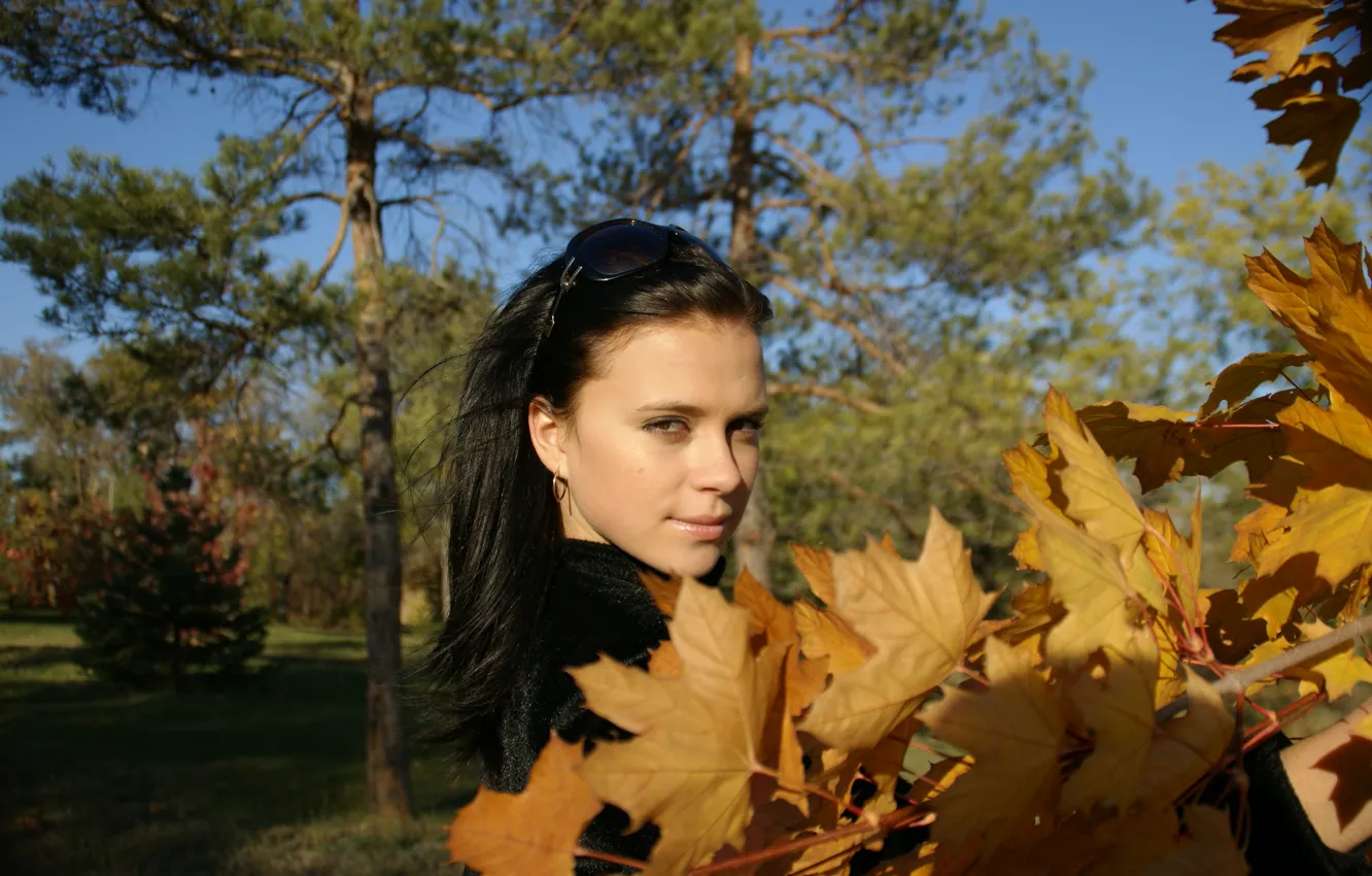 Фото обои осень, листья, деревья, Мария