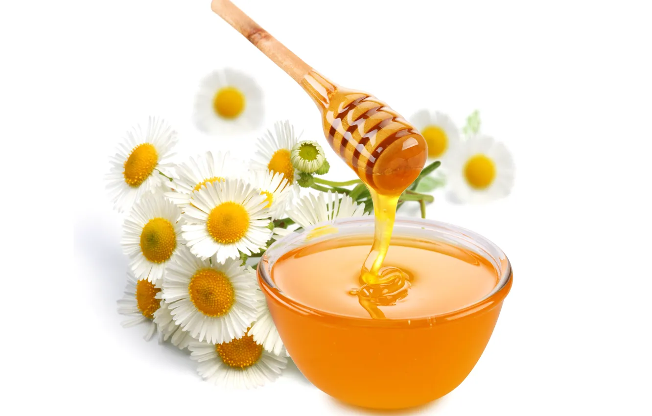 Фото обои цветы, ромашки, мед, ложка, белый фон, пиала