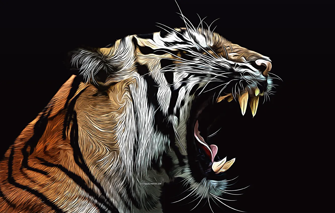 Фото обои tiger, fury, vector art, abstract animals, creative art, wild animals, vector drawing, furious tiger