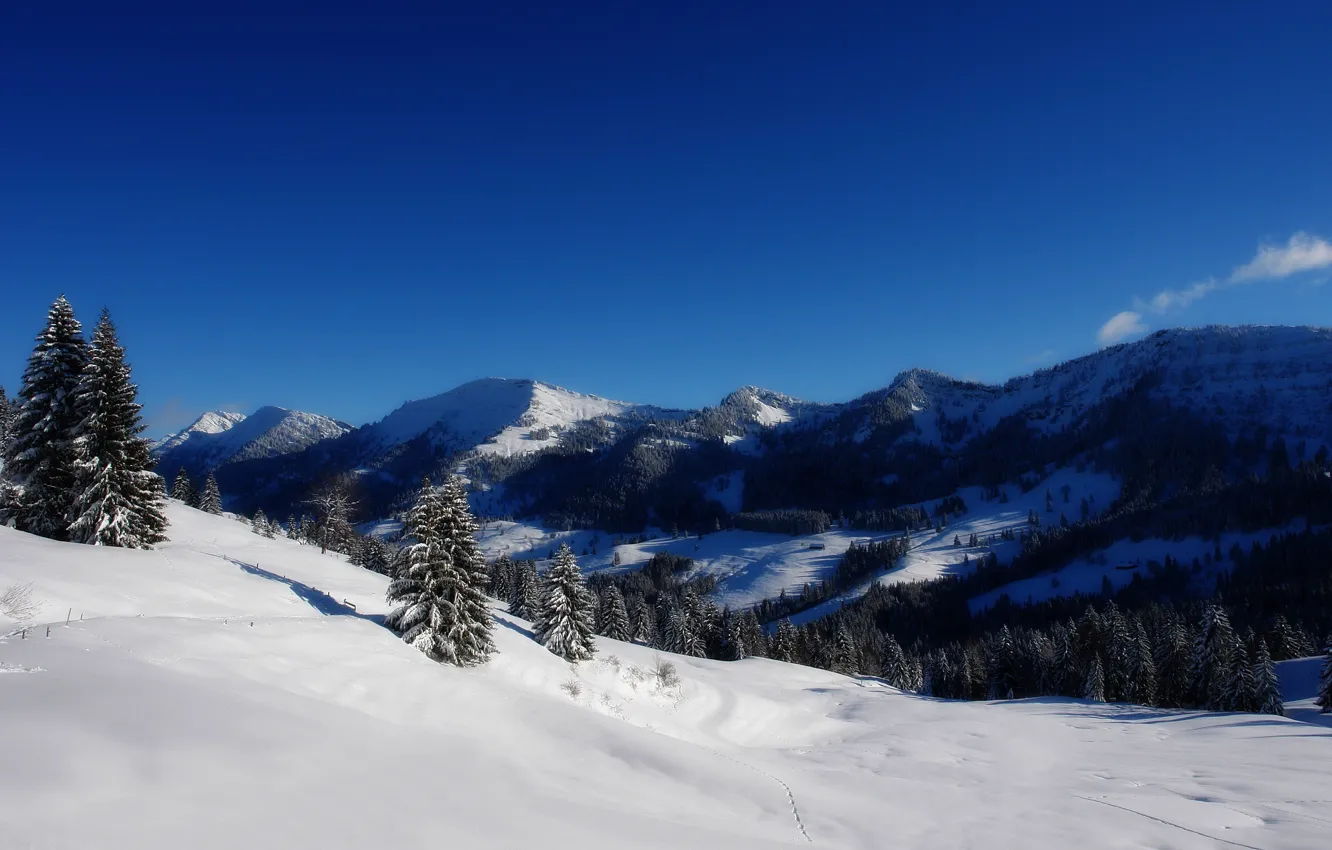 Фото обои снег, деревья, горы, Зима
