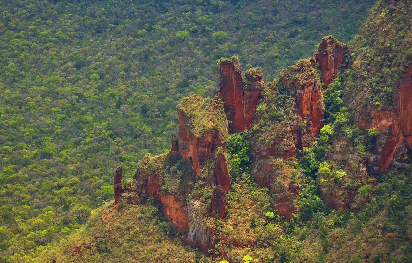 Фото обои деревья, горы, скалы, Бразилия, заповедник, Parque Nacional da Chapada dos Guimarães, штат Мату-Гросу