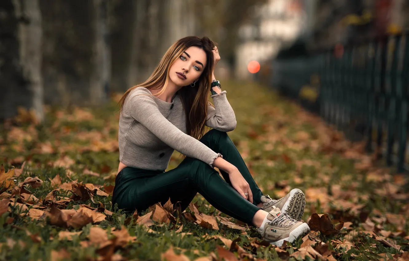 Фото обои осень, взгляд, листья, девушка, деревья, поза, парк, модель
