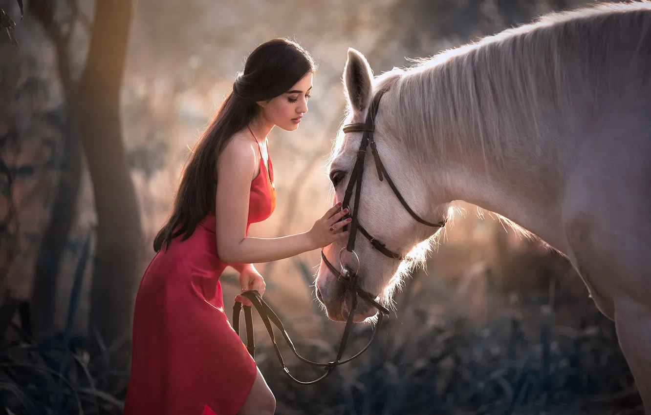 Фото обои девушка, природа, животное, конь, лошадь, платье, брюнетка, Natalia Arantseva