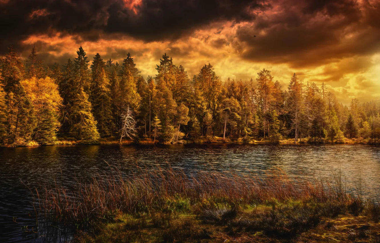 Фото обои озеро, Природа, Облака, Осень, Швейцария, Лес, Времена Года
