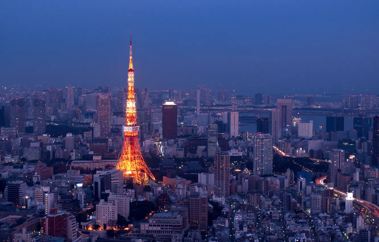 Фото обои ночь, огни, Токио, панорама