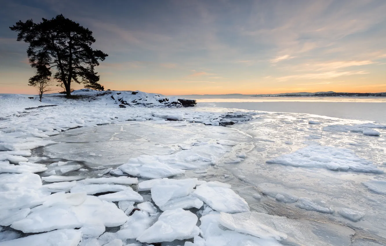 Фото обои холод, лед, деревья, пейзаж, река