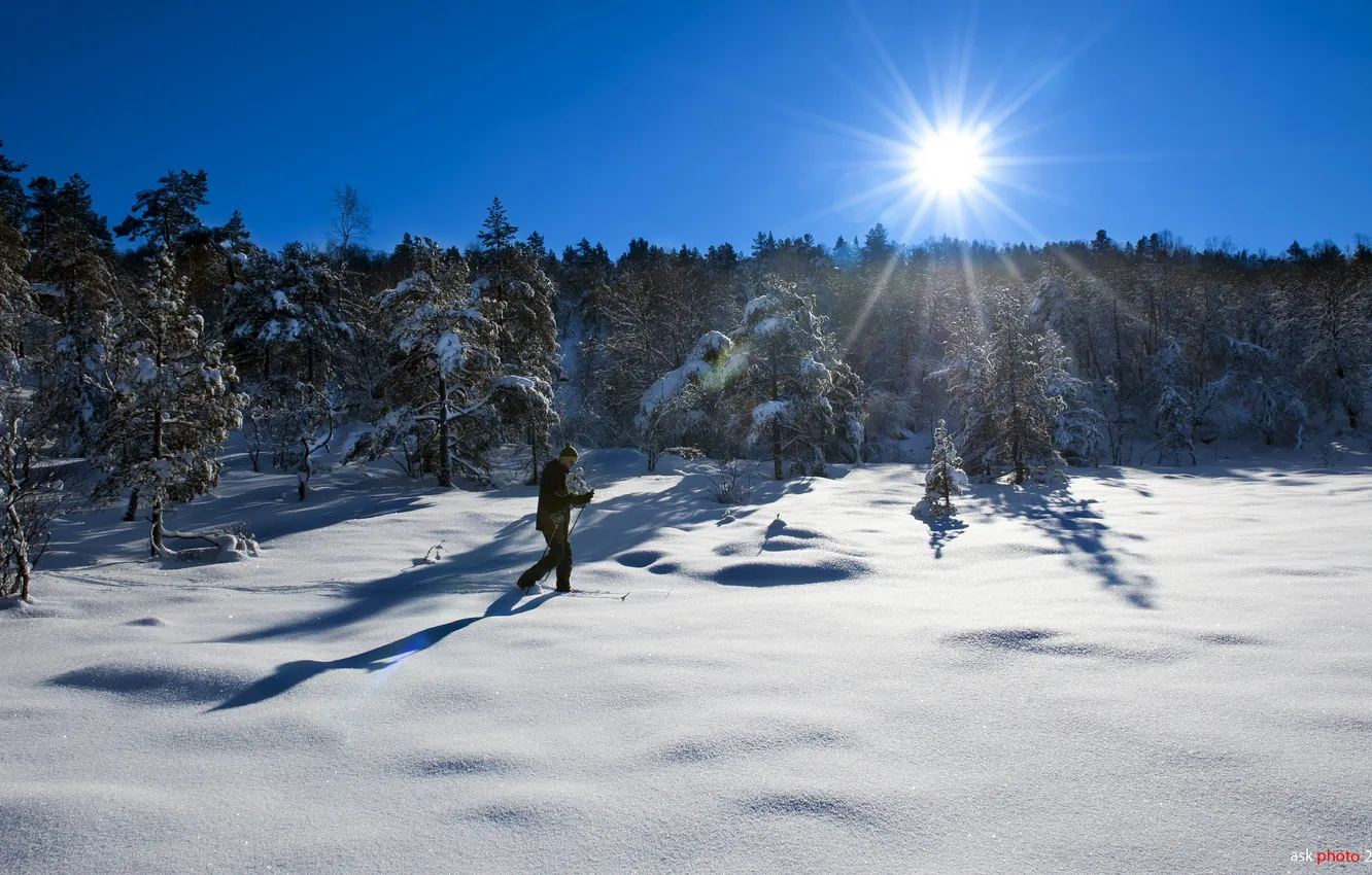 Фото обои зима, снег, пейзаж, лыжник